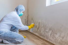 Why You Should Choose Our Mold Remediation Services in Cedar Creek, TX