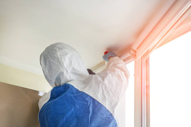 Best Mold Odor Removal Services in Cedar Creek, TX